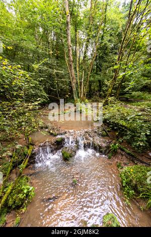 Tuffsteinbildung im Forest of Dean, Gloucestershire. VEREINIGTES KÖNIGREICH. Stockfoto