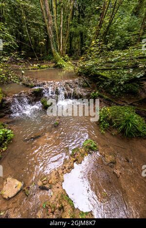 Tuffsteinbildung im Forest of Dean, Gloucestershire. VEREINIGTES KÖNIGREICH. Stockfoto