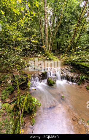 Tuffsteinbildung im Forest of Dean, Gloucestershire. VEREINIGTES KÖNIGREICH. Stockfoto