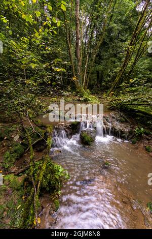 Tuffsteinbildung im Forest of Dean, Gloucestershire. VEREINIGTES KÖNIGREICH. Stockfoto