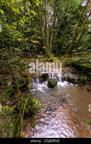 Tuffsteinbildung im Forest of Dean, Gloucestershire. VEREINIGTES KÖNIGREICH. Stockfoto