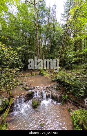 Tuffsteinbildung im Forest of Dean, Gloucestershire. VEREINIGTES KÖNIGREICH. Stockfoto