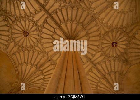 Kunstvoll geschnitzte Steindecke des Bodley Tower über der Bodley Tower Hall-Treppe, die zur Großen Halle, Christ Church College, University of Oxford, Oxford, England führt, VEREINIGTES KÖNIGREICH. Stockfoto