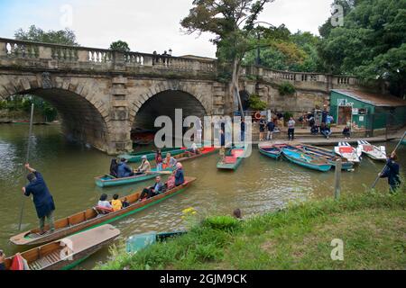 Besucher von Oxford in Punts auf dem Fluss Cherwell. Vom Gelände des Magdalen College, University of Oxford, England, Großbritannien Stockfoto