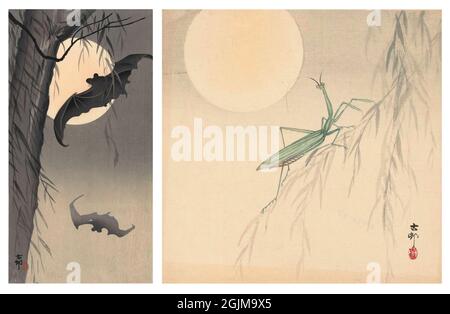 Auswahl von 2 japanischen Holzschnitten links: Zwei fliegende Fledermäuse bei Vollmond; Weidenbaum links. Rechts (1900-1936): Gottesanbeterin auf einem Weidenzweig bei Vollmond. Einzigartige optimierte und verbesserte Anordnung von zwei historischen japanischen Holzschnitt-Illustrationen. Stockfoto