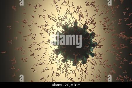 Immunologisches System, Antikörper, die das Virus Covid-19 angreifen. 3D-Darstellung, Konzept des Abwehrsystems des Körpers. Y-förmiger Antikörper, der den angreift Stockfoto