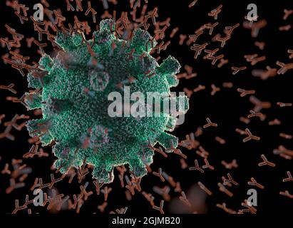 Immunologisches System, Antikörper, die das Virus Covid-19 angreifen. 3D-Darstellung, Konzept des Abwehrsystems des Körpers. Y-förmiger Antikörper, der den angreift Stockfoto