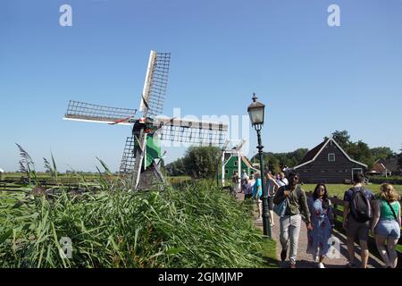 Im niederländischen Freilichtmuseum De Zaanse Schans können Touristen über eine kleine Zugbrücke und eine kleine Windmühle spazieren. Zaanstad, Niederlande, September Stockfoto