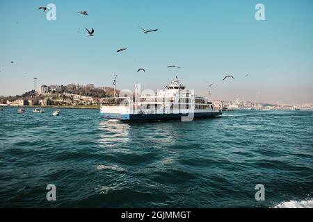 Binnenschiff und Fähre in istanbul bosporus früh am Morgen mit Möwen und Vögeln auf türkisfarbenem Meer. Stockfoto