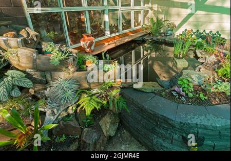 Dekorativer überdachter Hofgarten mit Wasserspiel mit Teich und Wasserfall, Ziegelsteinmauer in Australien und Gartenbett mit Laubpflanzen Stockfoto