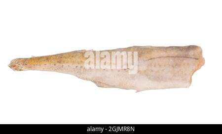 Frisch gefrorener Seehecht oder pollock isoliert auf weißem Hintergrund. Datei enthält Beschneidungspfad. Stockfoto