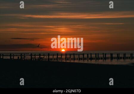 Sonnenuntergang in Zingst am Meer. Rot-orange Sonne untergeht am Horizont. Möwen kreisen am Himmel. Eine schöne Lichtatmosphäre, die zum Träumen einlädt. T Stockfoto