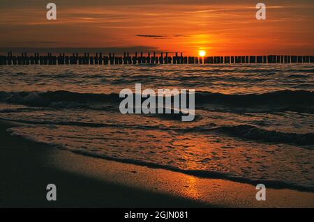 Sonnenuntergang in Zingst am Meer. Rot-orange Sonne untergeht am Horizont. Möwen kreisen am Himmel. Eine schöne Lichtatmosphäre, die zum Träumen einlädt. T Stockfoto