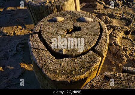 Single Groyne am Strand. Bei Sonnenuntergang helle Atmosphäre. Sie helfen, die Küste zu schützen Stockfoto