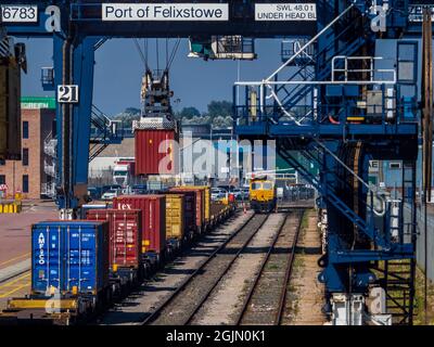 Rail Freight UK - intermodale Container werden in Güterzügen im Felixstowe Port, dem größten Containerhafen Großbritanniens, verladen. Stockfoto