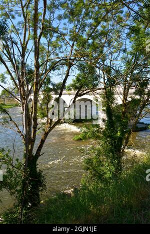 Schattiger Rand der Loire und Brücke von General Leclerc bei Amboise, einer Gemeinde, die für ihr herrliches Schloss in Frankreich bekannt ist Stockfoto