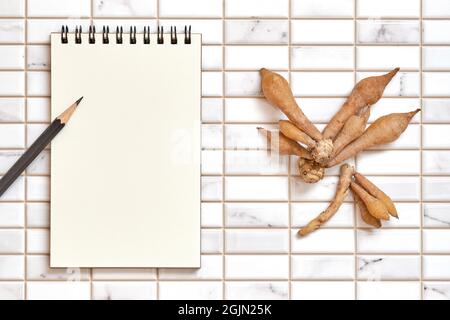 Fingerroot, Kaempfer mit offenem, leerem Spiralnotizbuch und Bleistift auf weißem Hintergrund, Flat Lay-Konzept, Copy Space for Text. Stockfoto