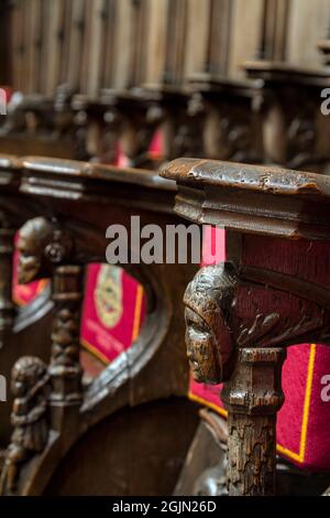 Detail einer geschnitzten hölzernen Pew, Teil der 39 Misericorde, Mercy Seat, in Christchurch Priory, UK Stockfoto