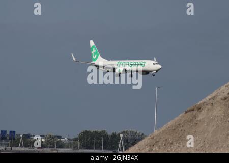 DIE FLUGZEUGE DER TYP PH-HZN Transavia Boeing 737 landen auf der Kaagbaan 06-24 am Flughafen Amsterdam Schiphol in den Niederlanden Stockfoto