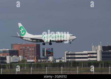 DIE FLUGZEUGE DER TYP PH-HZN Transavia Boeing 737 landen auf der Kaagbaan 06-24 am Flughafen Amsterdam Schiphol in den Niederlanden Stockfoto