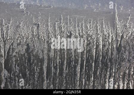 Dickes Steinsalz bedeckt die Tür einer Katze während des kalten Wintertieffrierens. Stockfoto