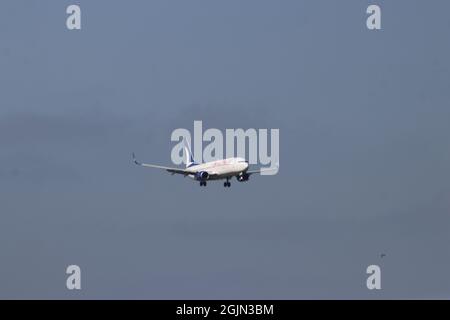 TC-JFC Anadolu Jet Boeing 737 wird auf der Kaagbaan 06-24 am Flughafen Amsterdam Schiphol in den Niederlanden landen Stockfoto