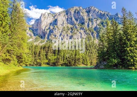 Der Grüne See oder Grüner See in der Steiermark, Österreich Stockfoto