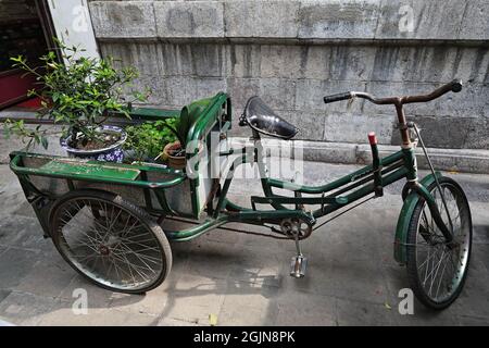 Altes grünes Frachtendreirad, das Pflanzen in Pflanztöpfen trägt. Shuyuanmen-Kalligraphie-Straße-Xi'an-China-1566 Stockfoto