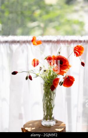 Strauß roter Mohnblumen in einer Glasvase vor dem Hintergrund des Fensters Stockfoto