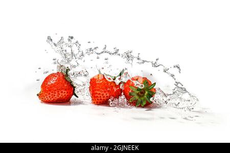 Erdbeeren im Wasser spritzen, isoliert auf weißem Hintergrund Stockfoto