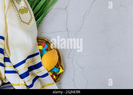 Jüdischer Feiertag der Symbole des Festivals Sukkot mit den Palmenblättern Stockfoto