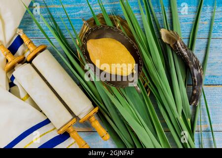 Traditionelle Symbole von Sukkot mit vier Arten etrog lulav hadas arava Stockfoto