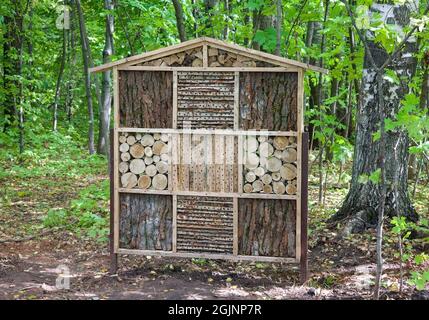 Eine schöne Holzplatte im renovierten Stadtpark 'Schweiz' Stockfoto