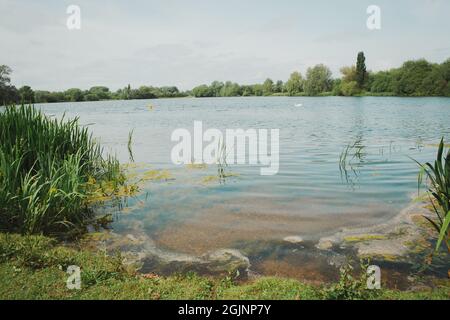 Seenlandschaft im Watermead Country Park in Leicester Stockfoto