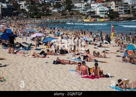 Sydney, Australien. Samstag, 11. September 2021. Menschen entspannen sich am Bondi Beach, wenn die Frühlingstemperaturen heute 27 Grad erreichen. Die Covid-19-Beschränkungen werden am Montag für Personen in bestimmten Teilen Sydneys, die vollständig geimpft sind, lockern. Bis zu fünf Personen dürfen sich draußen versammeln. Quelle: Paul Lovelace/Alamy Live News Stockfoto