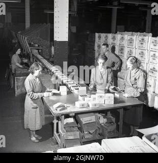 In den 1950er Jahren, am Ende einer Produktionslinie, standen drei Arbeiterinnen in Overalls, die Batterien für den Export packten, beobachtet von einem männlichen Vorgesetzten, in der britischen Fabrik Ever Ready in Forest Row, London, England, Großbritannien. BEREC (British Ever Ready Export Company) war der Markenname, der für den Export von Zink-Kohle-Batterien und Radios verwendet wurde. Als eines der größten seiner Art in der Welt, mit mehreren Fabriken in Großbritannien, die Millionen von Batterien, Radios und Leuchten produzierten, ging der Marktanteil von British Ever Ready aufgrund des Wettbewerbs durch den Verkauf neuer Alkali-Batterien zurück und wurde Anfang der 1990er Jahre verkauft. Stockfoto