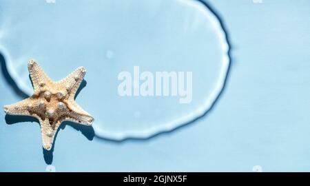 Einzelner weißer Seestern mit Schatten und Wasser auf blauem Hintergrund, Kopierraum Stockfoto