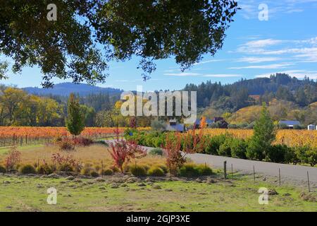Die Truett Hurst Winery während eines wunderschönen Herbstes in der Dry Creek AVA, Healdsburg (Sonoma) CA Stockfoto