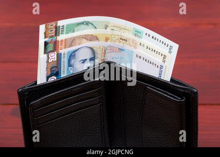 Bulgarisches Geld - Lew in der schwarzen Brieftasche Stockfoto