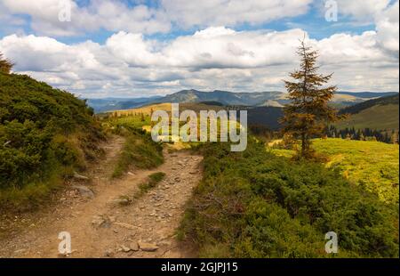 Schatten und Lichter einer herrlichen Berglandschaft im Rodnei-Nationalpark, Maramures, Rumänien Stockfoto