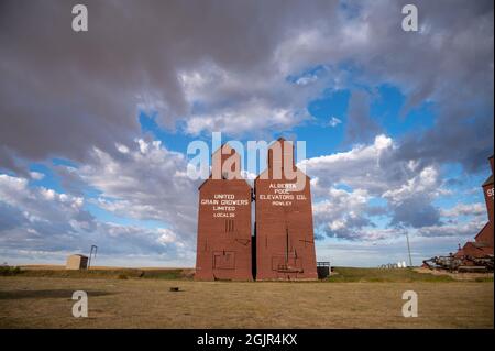 Rowley, Alberta - 6. September 2021: Historische Getreideaufzüge in der Geisterstadt Rowley. Stockfoto