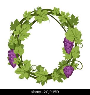 Runder Rahmen. Weinrebe mit Laub und Trauben. Weinbau und Landwirtschaft. Zweige mit Beeren auf einem dichten Busch. Junger Weinberg. Süßer Herbst Stock Vektor