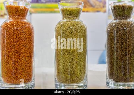 Verschiedene Hülsenfrüchte und Getreide in Glasflaschen Stockfoto