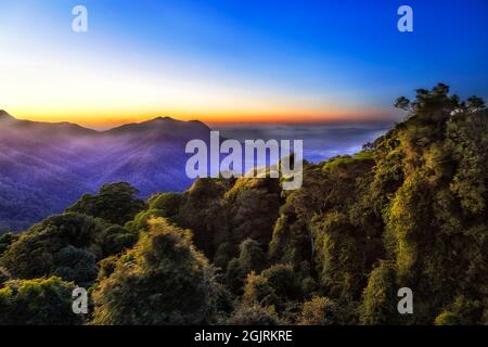 Morgendämmerung im Dorrigo Nationalpark über alten Bergen und Regenwäldern von Gondwana - australische Landschaft. Stockfoto