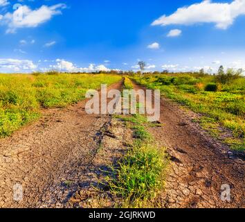 Braun-roter australischer Outback-Soit mit trockener Feldbahn auf abgelegener Landwirtschaftsfarm und Land in Moree Shire - artesischem Becken. Stockfoto