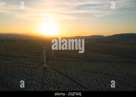 Windturbinen bei Sonnenuntergang in Ocotillo, Kalifornien Stockfoto