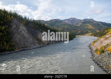 Diese Fußgängerbrücke führt über den Nenana River am Rande des Denali National Park in Alaska, USA. Stockfoto