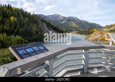 Diese Fußgängerbrücke führt über den Nenana River am Rande des Denali National Park in Alaska, USA. Stockfoto