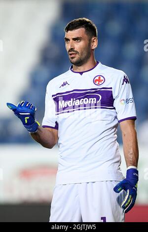 Bergamo, Italien. 11. September 2021. Pietro Terracciano von ACF Fiorentina Gesten während der Serie A Fußballspiel zwischen Atalanta BC und ACF Fiorentina. Kredit: Nicolò Campo/Alamy Live Nachrichten Stockfoto