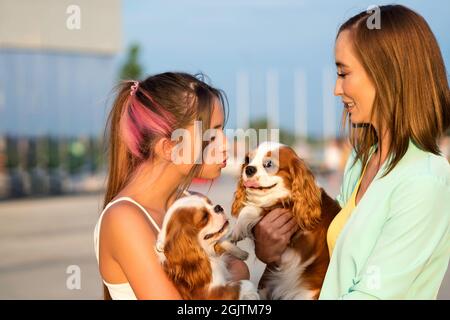 Mutter und Tochter Züchter gehen im Stadtpark mit Haustieren. Cavalier King Charles Spaniel Welpen mit Besitzer im Freien. Stockfoto